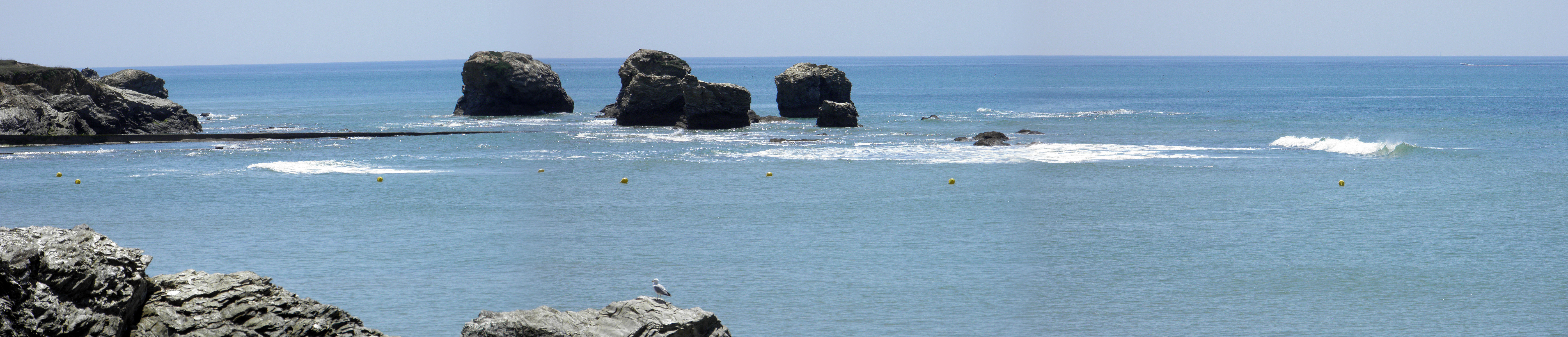 Les 5 pineaux reef breaks Saint Hilaire de Riez Surf Spot 3/5