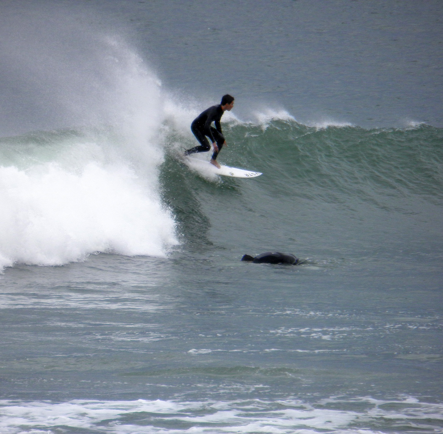 Mundaka point break Mundaka Surf Spot 5/5